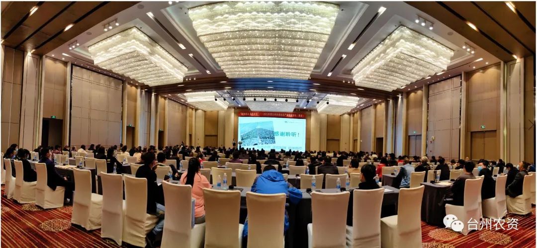 技物通達 瓜行天下 讓農(nóng)民種瓜更輕松